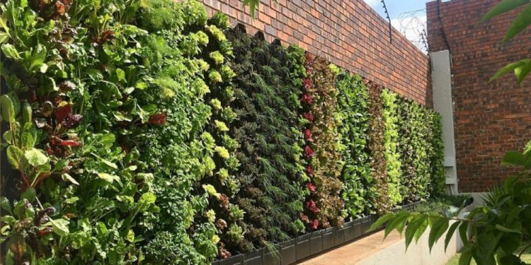 Got a Scoop? Here is How to Turn Your Video into Global News