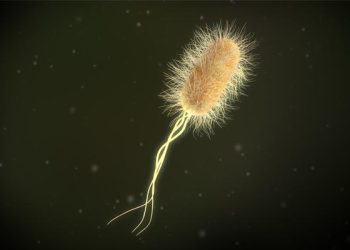 300 Year Old System of naming Bacteria has been Revised