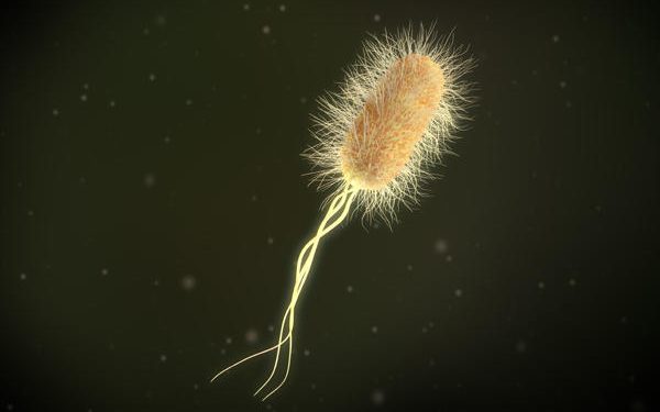 300 Year Old System of naming Bacteria has been Revised