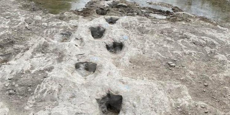 New Dinosaur Tracks Revealed in 2022