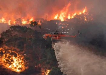 The World is on a Highway to Climate Hell